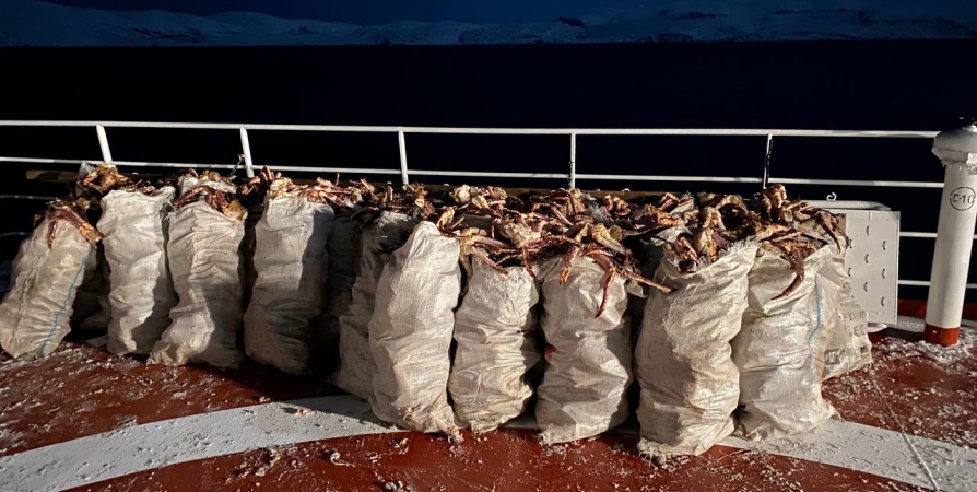 На побережье Баренцева моря у браконьеров изъяли краба на 7,7 млн