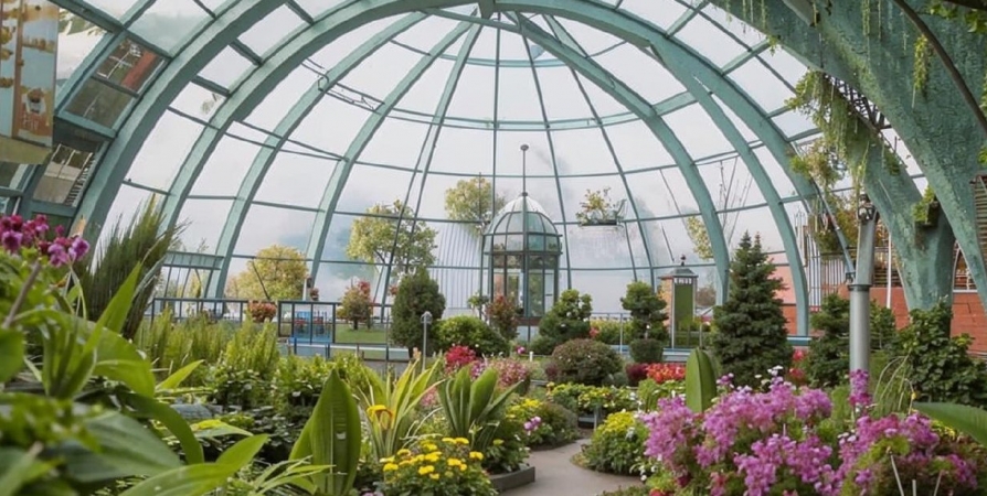 «Пальмы и зелень»: В Мурманске предложили создать Ботанический сад под стеклянным куполом