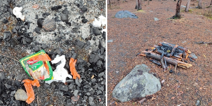 Палатка на экотропе, мусор и костры: В Мурманске жалуются на посетителей «Снежинки»