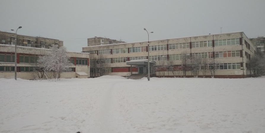 После проверки в теплице мурманской гимназии закрыли СДЭК