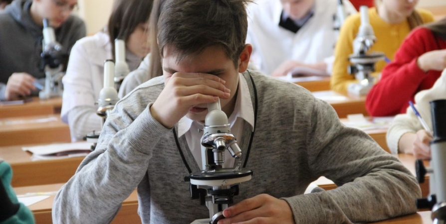 В Заполярье введут гранты для молодых ученых и студентов