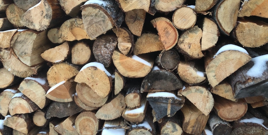 Самая низкая зарплата в 20 тысяч в Заполярье у обработчиков древесины