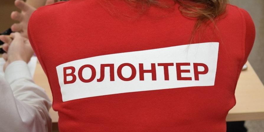 В Заполярье объявили поиск волонтеров на голосование за объекты благоустройства