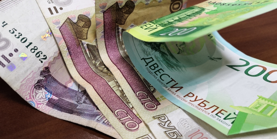 В новом году прожиточный минимум в Мурманской области составит 19 370 рублей