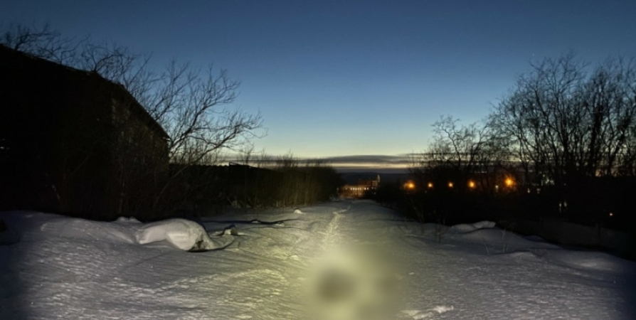 Тело пропавшего пенсионера нашли в Мурманске на ж/д путях