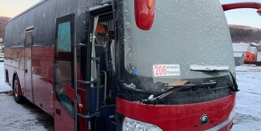 Из Мурманска в Териберку запустят комфортабельный автобус