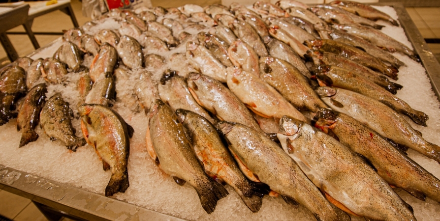 Три фантомных рыбоперерабатывающих предприятия выявили в Заполярье