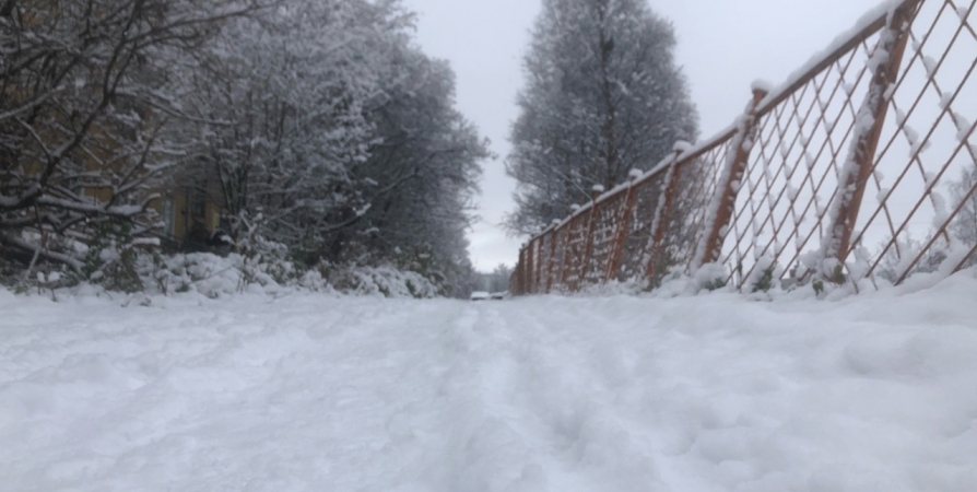 В первые дни февраля в Мурманске выпало 40% месячной нормы снега