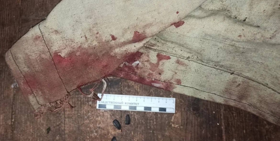 Избивший до смерти собутыльника в Лесозаводском идет под суд