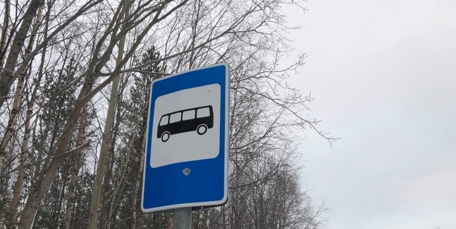 В конце марта изменится расписание автобусов из Кировска до аэропорта