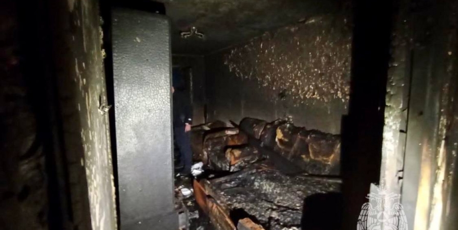 На пожаре в жилом доме в Апатитах погиб мужчина