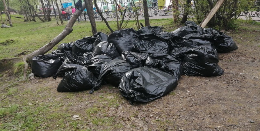 С улиц и дворов Мурманской области за неделю вывезли 3 тысячи кубометров мусора