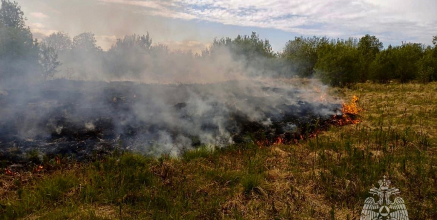 В Мончегорске выгорело 50 «квадратов» сухой травы