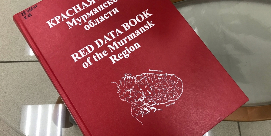В Мурманской области готовятся к изданию обновленной Красной книги