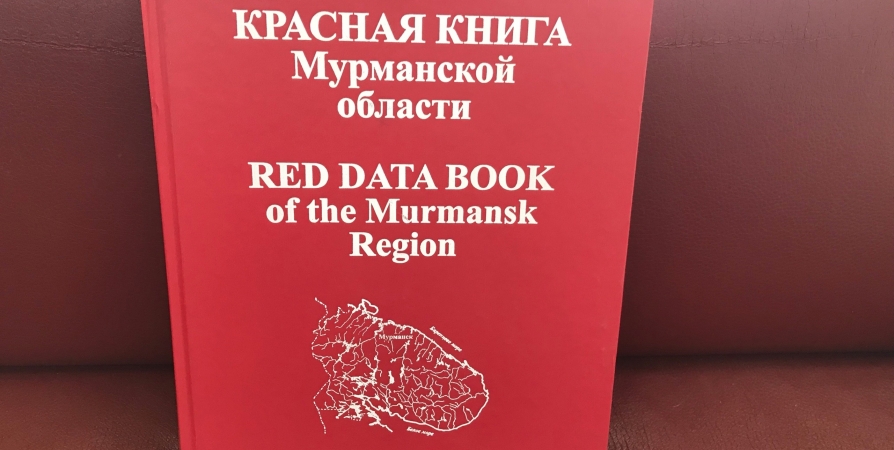Ученые пересмотрели подход и сократили основное издание Красной книги Мурманской области