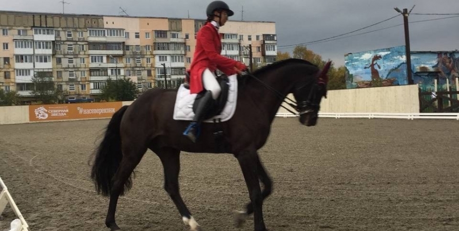 Первые официальные соревнования по конному спорту прошли в Заполярье
