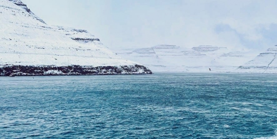 О первой русской государственной экспедиции в Арктику расскажут в мурманской «научке»