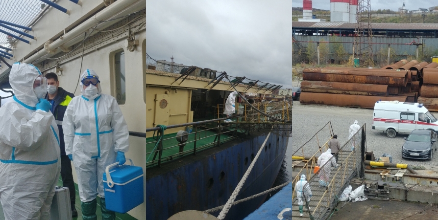 В Мурманск на судне прибыл из Индии больной холерой - учения