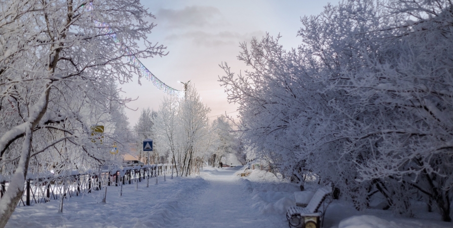 Ночью температура воздуха в центральных районах Мурманской области может опуститься до -22°С