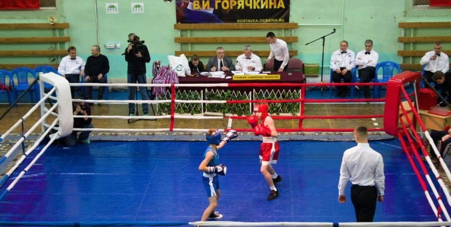 В Мурманске проходит турнир по боксу на призы Владимира Горячкина