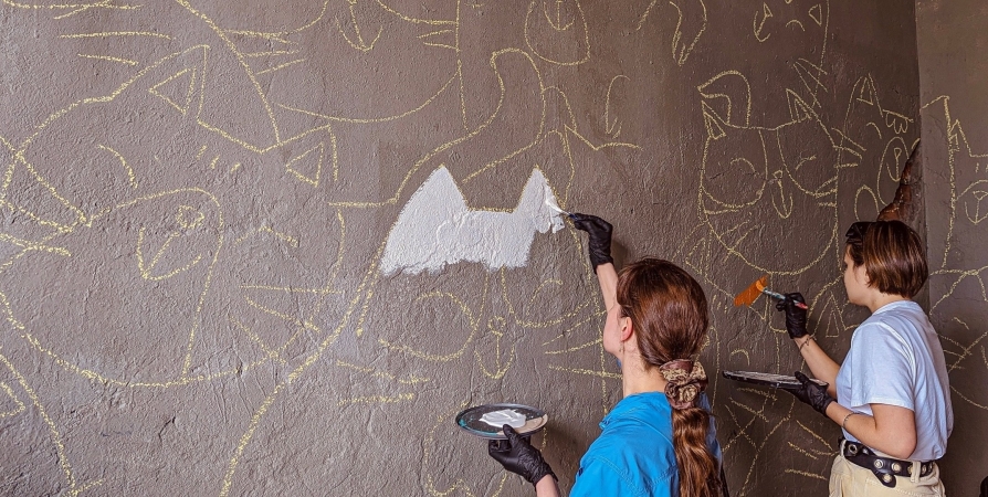 Мурманской молодежи откроют мир социальных граффити
