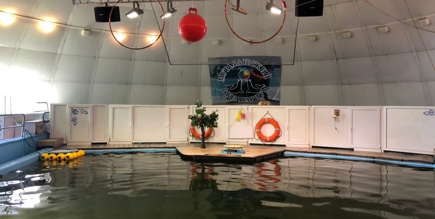 Закрытый 2 года Мурманский океанариум отремонтируют для возобновления лицензии