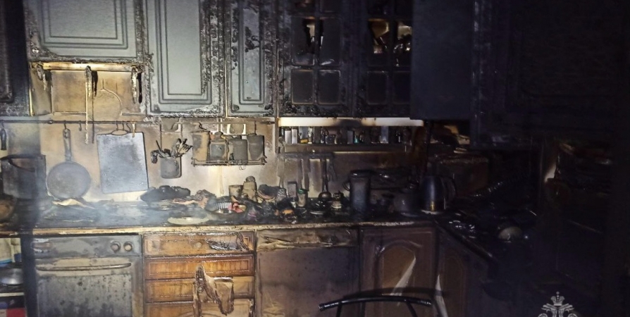 Картина-обогреватель стала причиной пожара в доме Мурманска