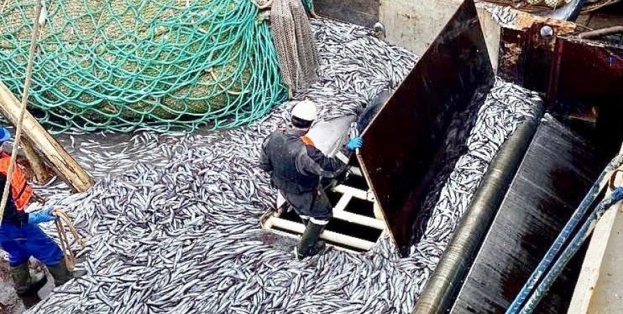 Великобритании могут запретить лов рыбы в Баренцевом море