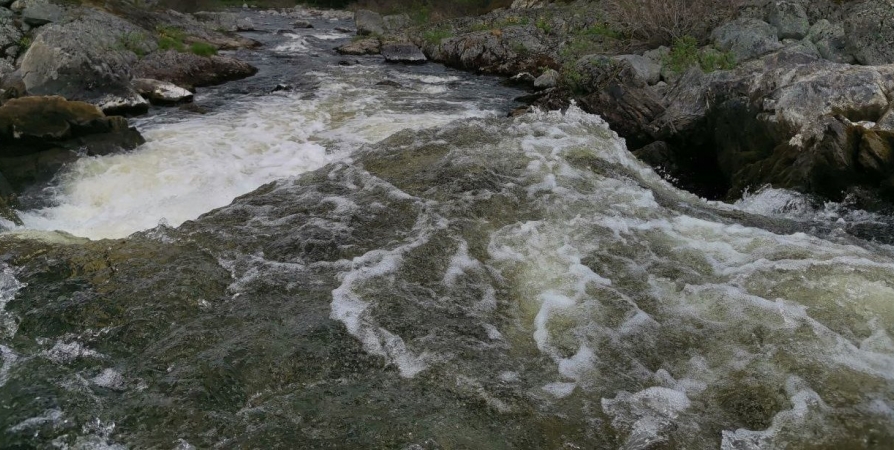 Мурманская область попала в тройку антилидеров по загрязнениям водоемов