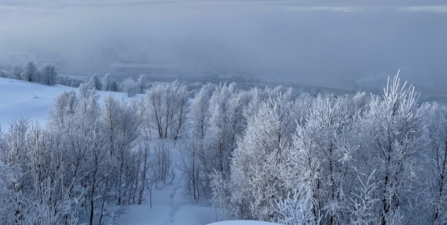- 38,4°С - в Кольском Заполярье отмечен температурный минимум за зиму