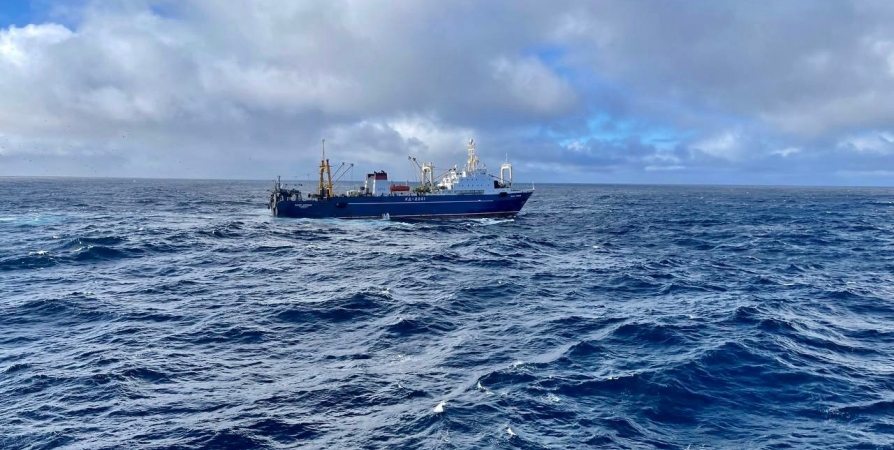 «Высокодоходная отрасль катится вниз»: Рыбаки Северного бассейна намерены рассказать президенту о проблемах