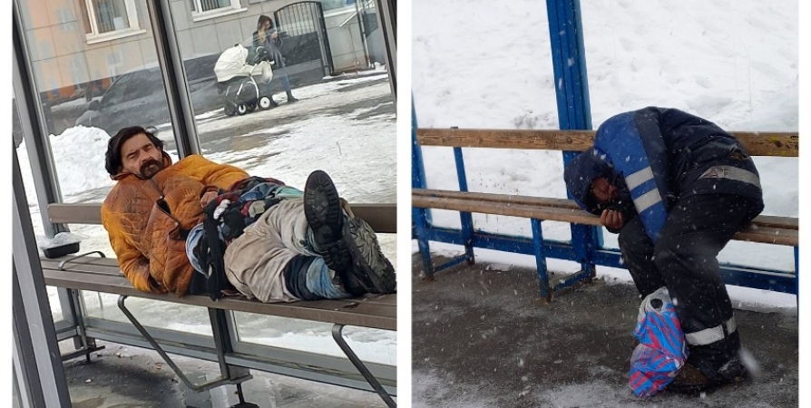 Скамейки в мурманских теплых остановках предложили обрабатывать после бездомных