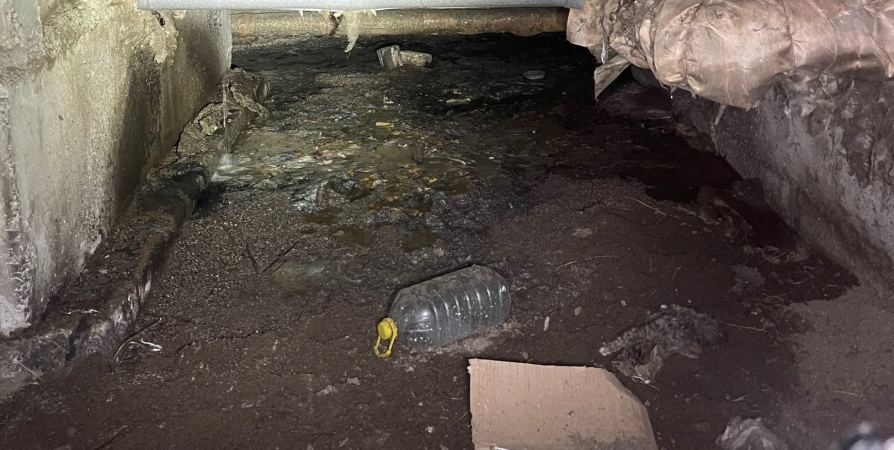 «В подвале выгребная яма» — мурманчане жалуются на запах канализации в домах