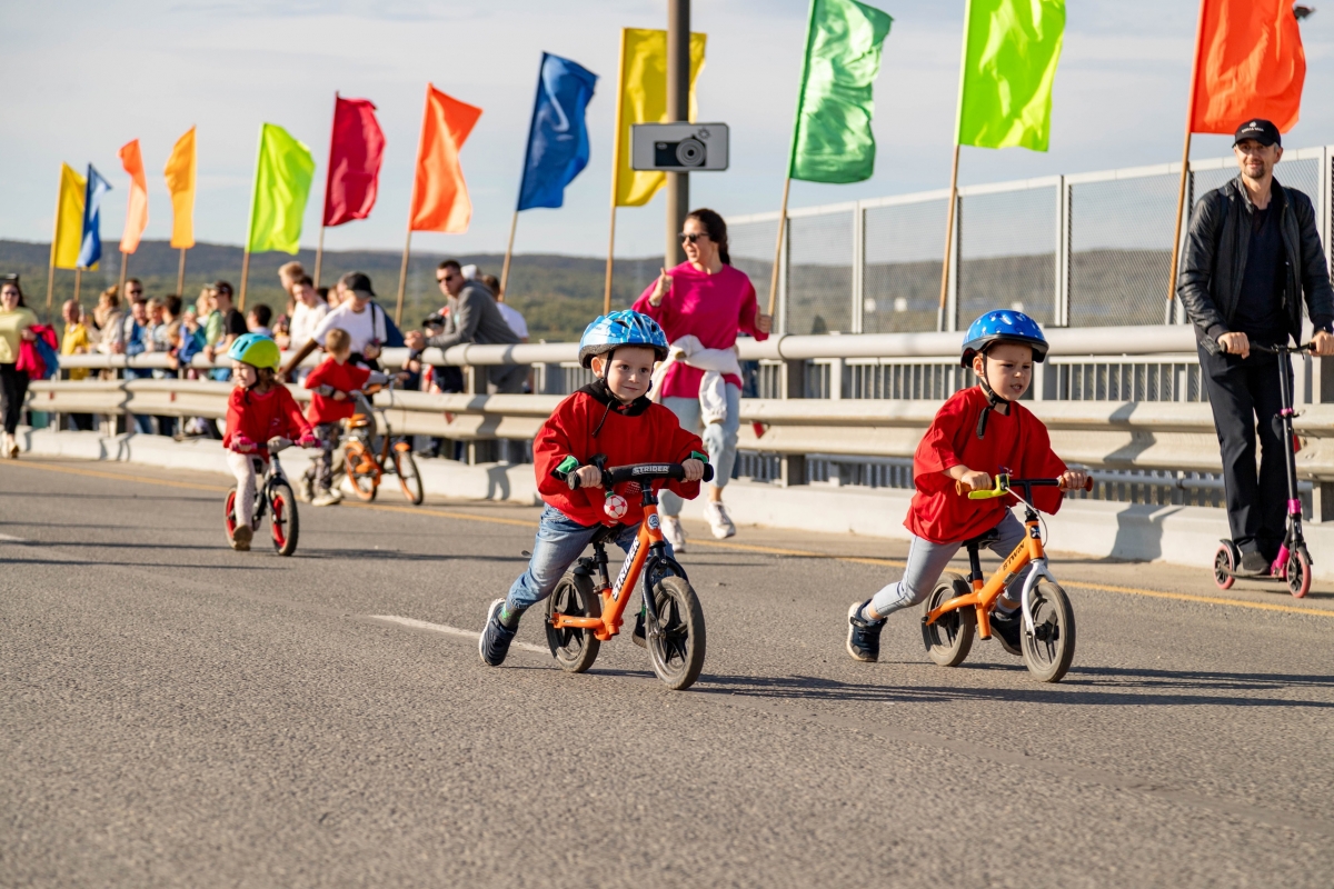 Спортивный комплекс гольфстрим мурманск